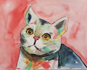 bunte weisse Katze 2